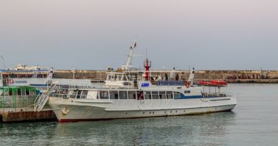Экскурсия из Рыбачьего: Морское путешествиек замку Ласточкино гнездо и Наб фото 10117
